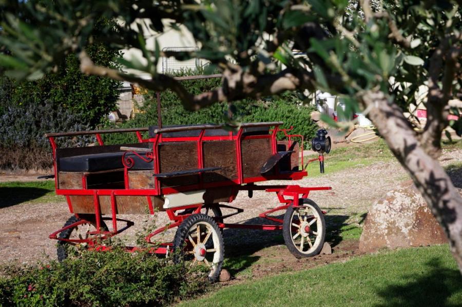 S'ispiga Farm stay *