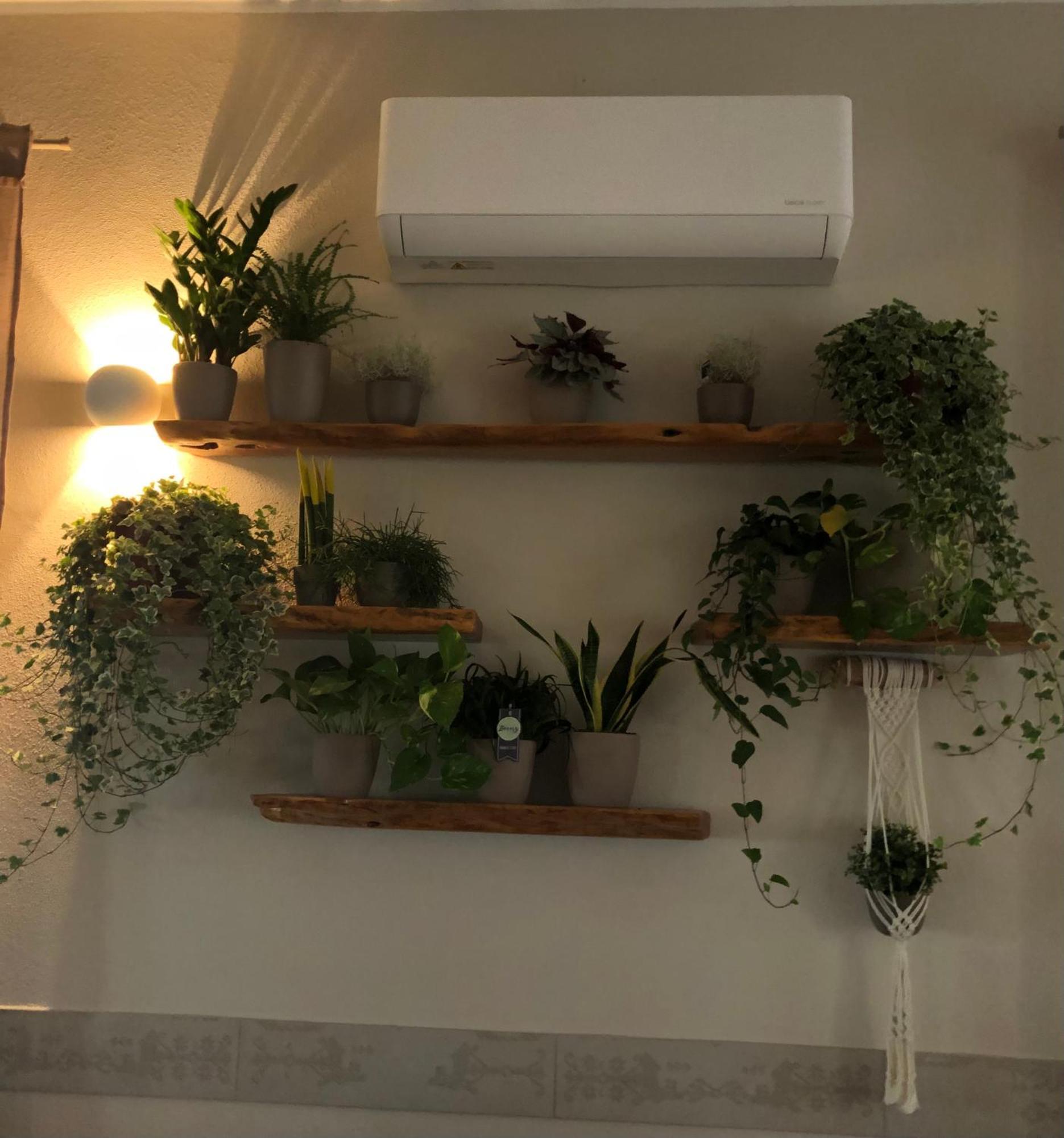 Agriturismo S'ispiga Agroturismo